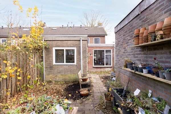 Tuin 4.jpg